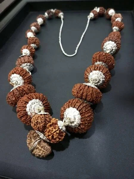 1 to 21 Best Indra Mala Rudraksha Nepal Original Rudraksha Pendant Rudraksha Pure bead Wearing Mala & Pooja Mala